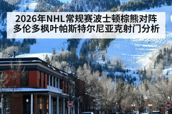 2026年NHL常规赛波士顿棕熊对阵多伦多枫叶帕斯特尔尼亚克射门分析